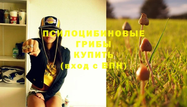 mix Алексеевка