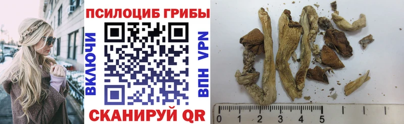 Псилоцибиновые грибы Psilocybe  Керчь 